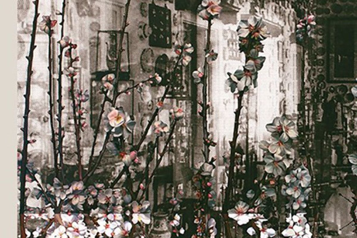 MTalks—Macau Days: Brian Castro & John Young in conversation with Natalie King