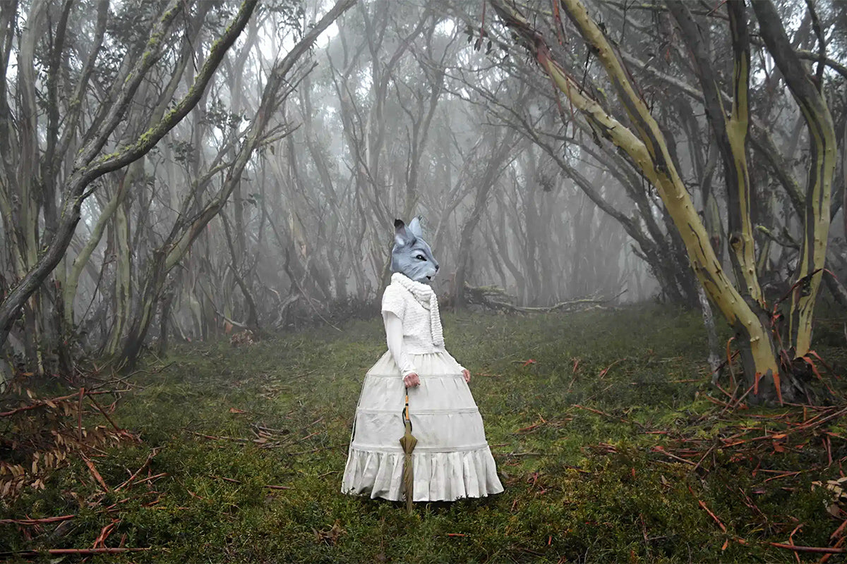 Curating in COVID: challenges and wins